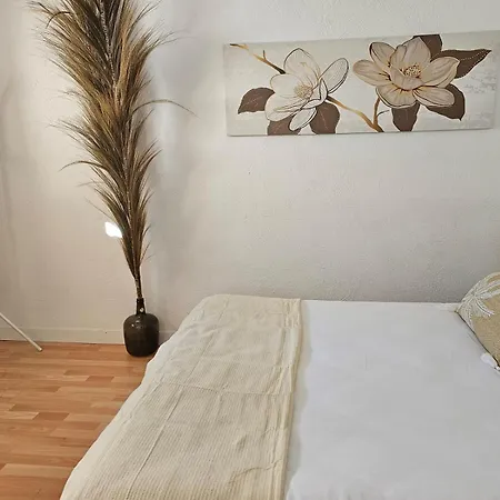 Imeda Casa 6 Estrellas